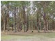 4035 Vasse Highway, Nannup WA 6275