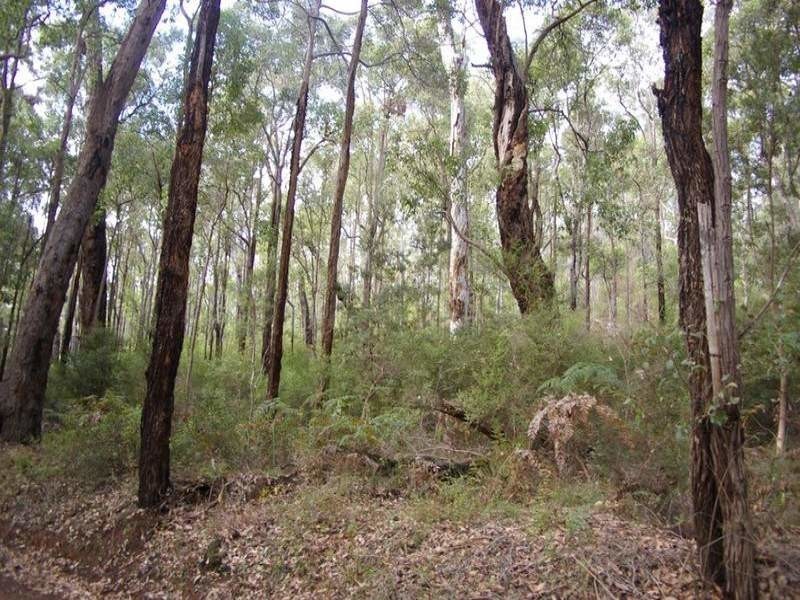 11189 Mount Lewin Loop Road, Nannup WA 6275