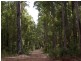 11189 Mount Lewin Loop Road, Nannup WA 6275