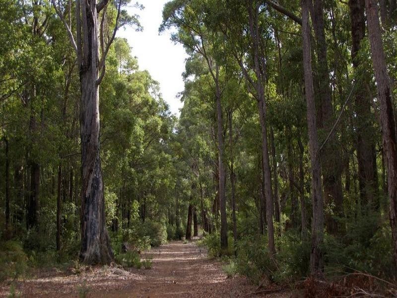 11189 Mount Lewin Loop Road, Nannup WA 6275