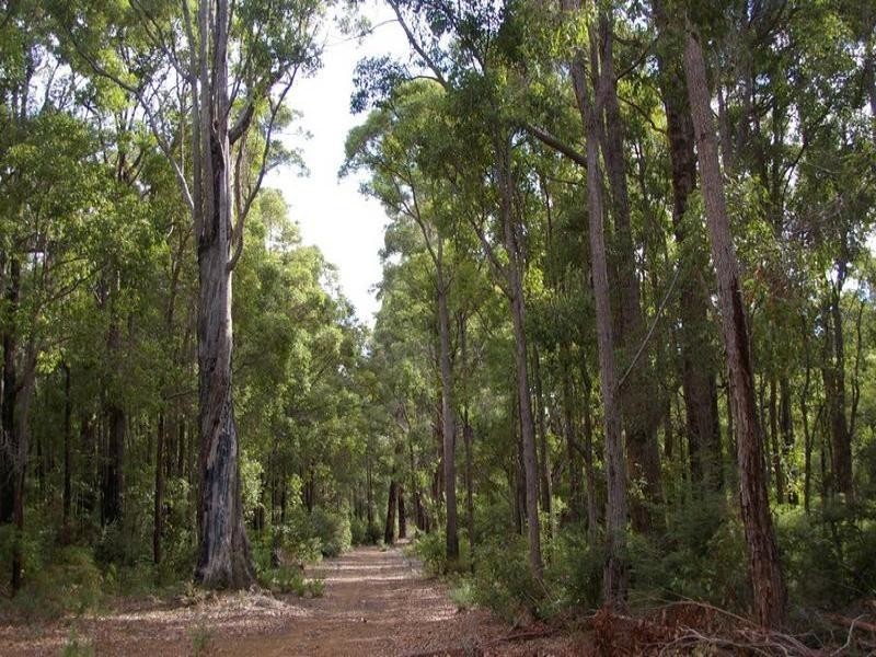 11215 Mount Lewin Loop Road, Nannup WA 6275