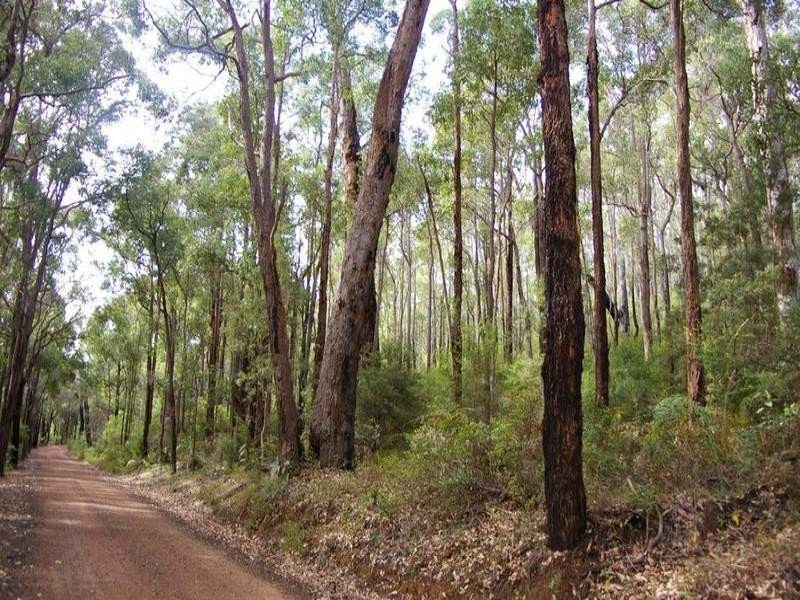 11215 Mount Lewin Loop Road, Nannup WA 6275