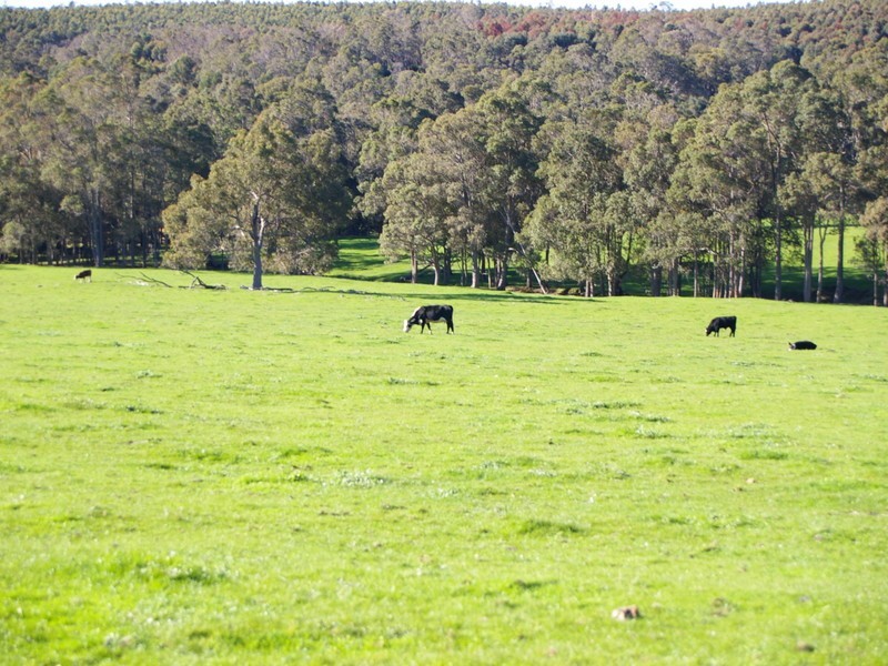 B / 11 White Road, Nannup WA 6275