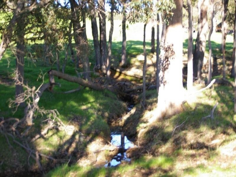 B / 11 White Road, Nannup WA 6275