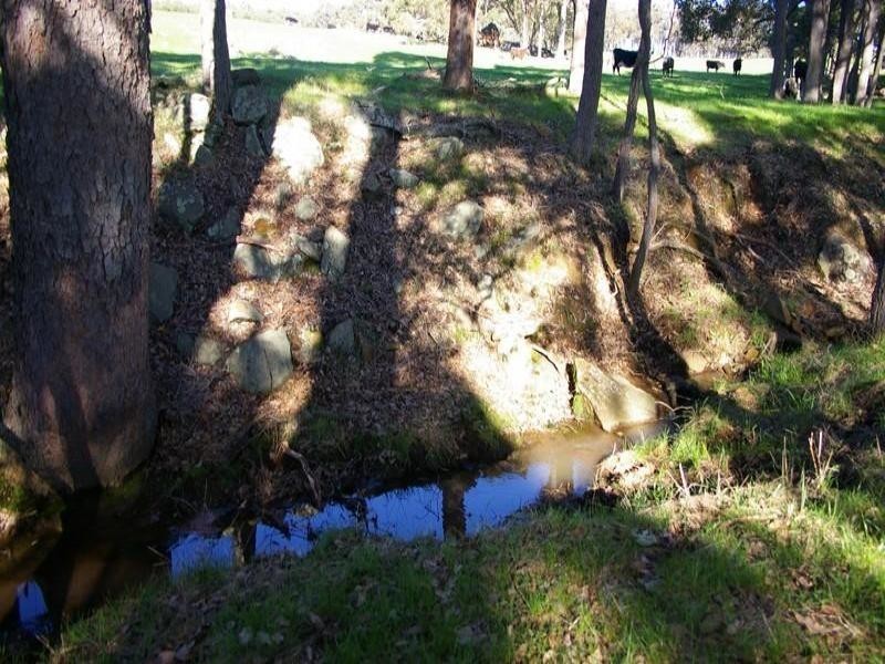 B / 11 White Road, Nannup WA 6275