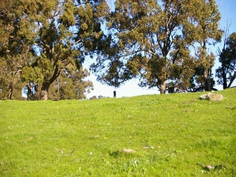 B / 11 White Road, Nannup WA 6275