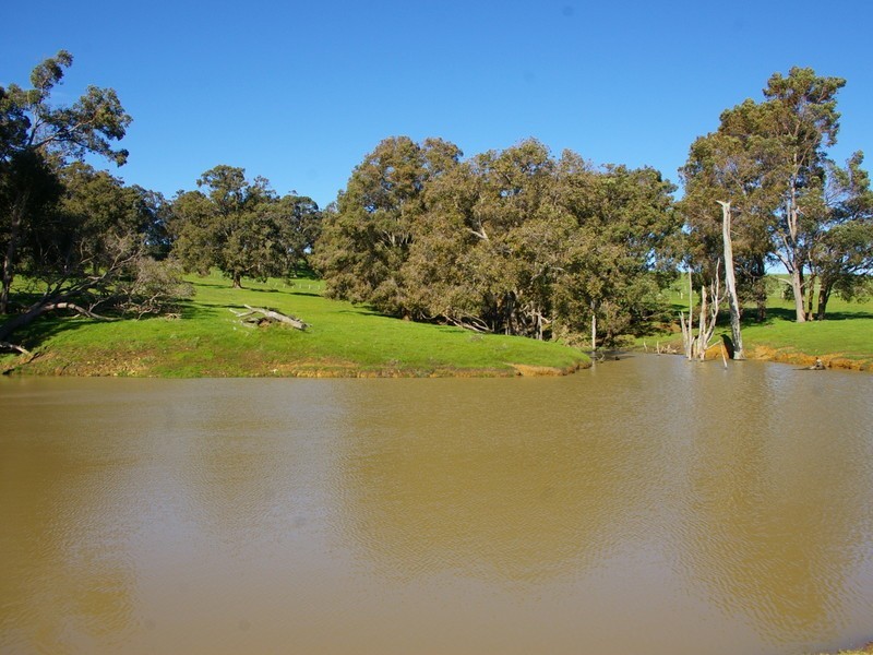 C / 11 White Road, Nannup WA 6275