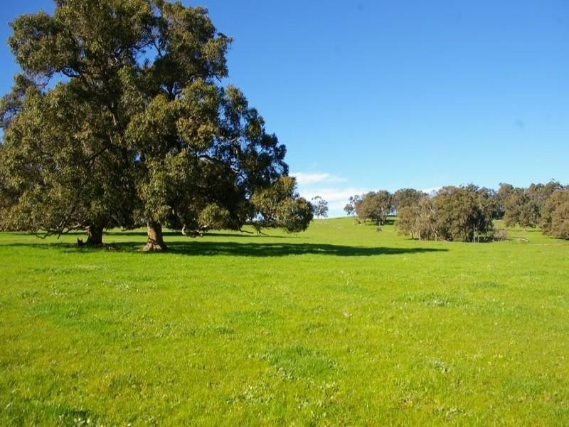 C / 11 White Road, Nannup WA 6275
