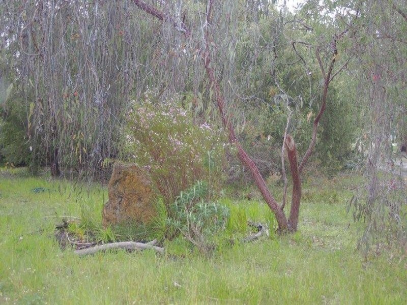 41 Blackwood River Drive, Nannup WA 6275