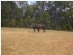 8930 Chalwell Road, Nannup WA 6275
