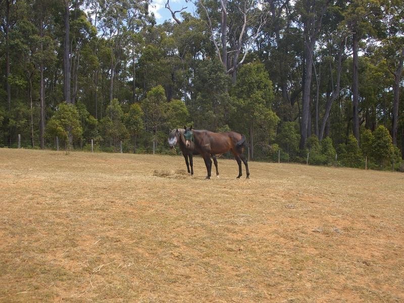 8930 Chalwell Road, Nannup WA 6275