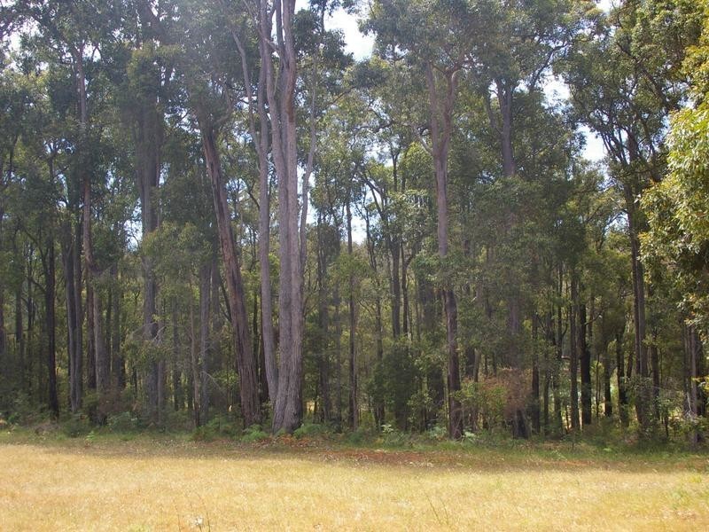 8930 Chalwell Road, Nannup WA 6275
