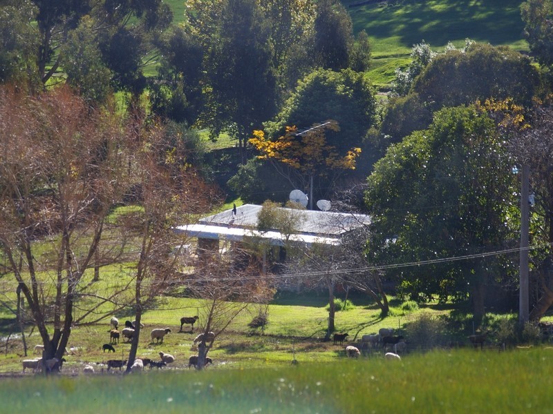 Lot 2 Gold Gully Road, Nannup WA 6275