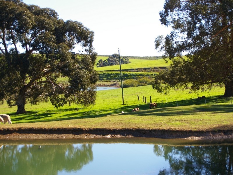 Lot 2 Gold Gully Road, Nannup WA 6275