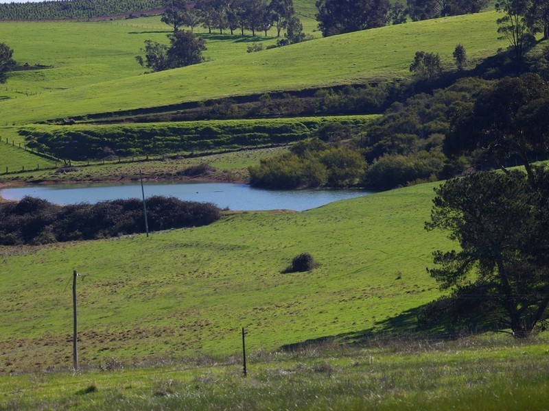 Lot 2 Gold Gully Road, Nannup WA 6275