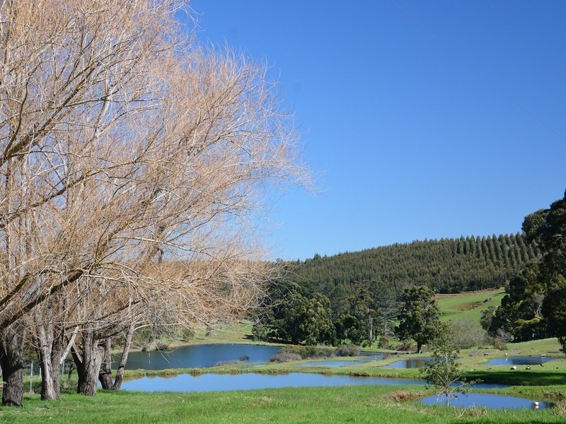 Lot 2 Gold Gully Road, Nannup WA 6275