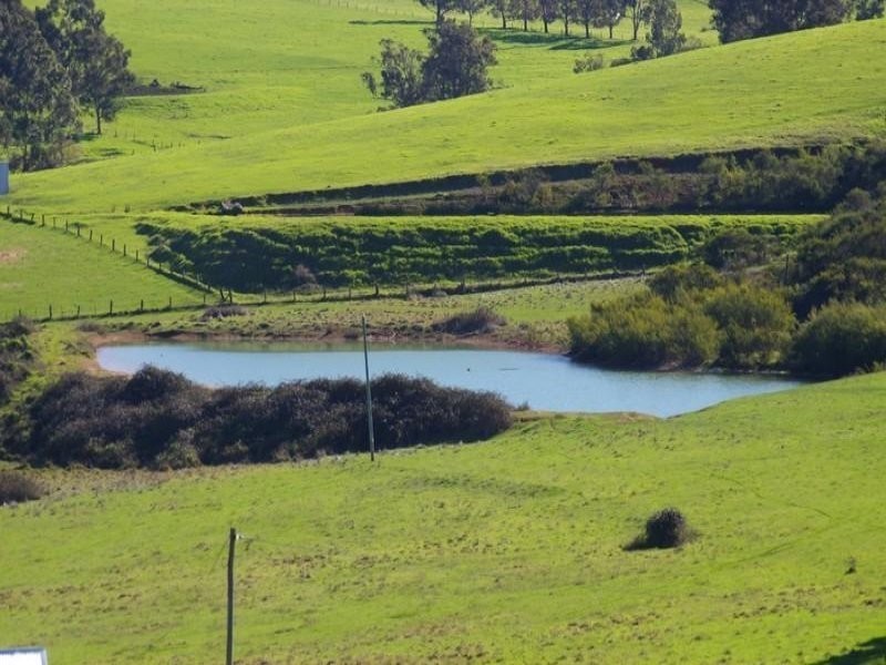 Lot 2 Gold Gully Road, Nannup WA 6275