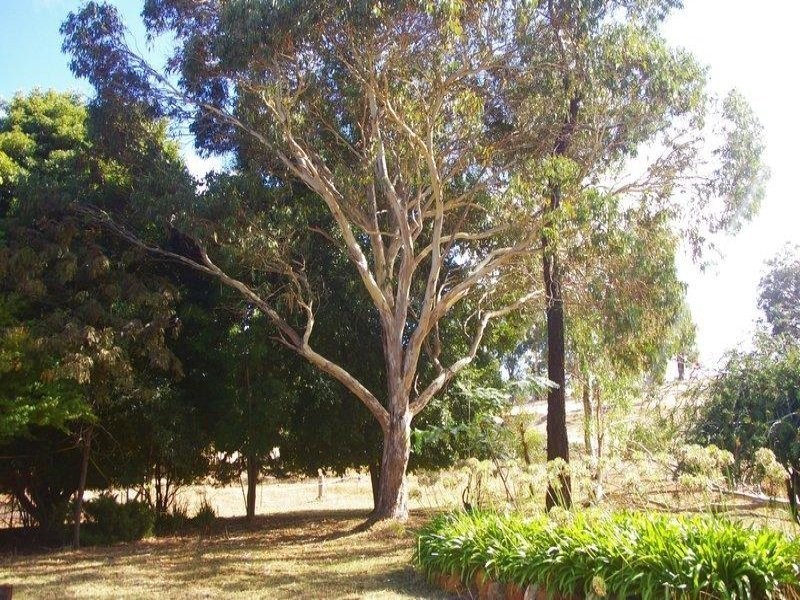 Lot 2 Gold Gully Road, Nannup WA 6275