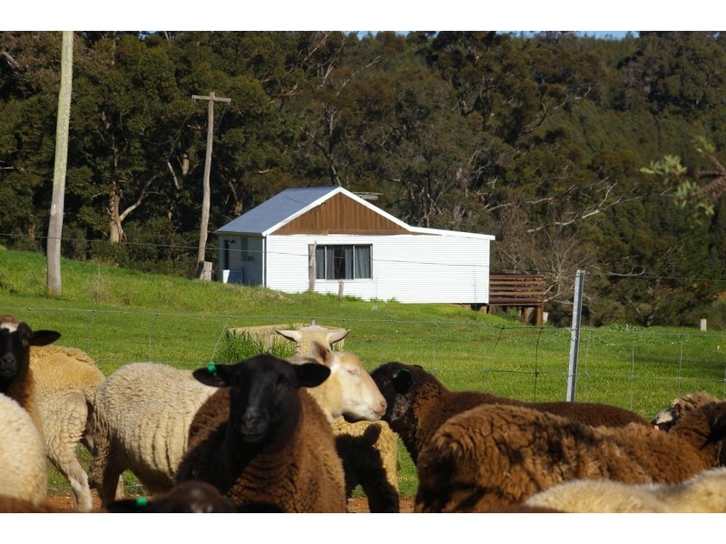 Lot 2 Gold Gully Road, Nannup WA 6275