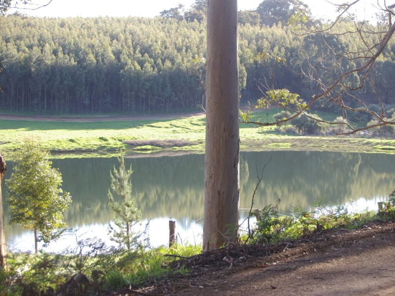 11 Gold Gully Road, Nannup WA 6275