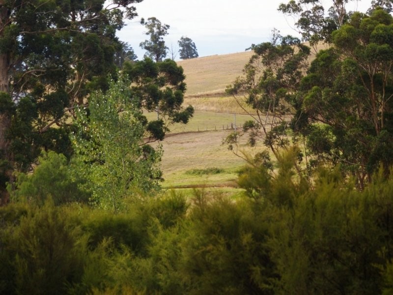 11 Gold Gully Road, Nannup WA 6275