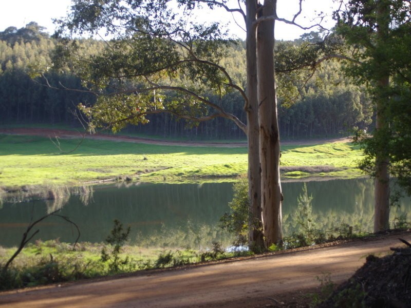 11 Gold Gully Road, Nannup WA 6275