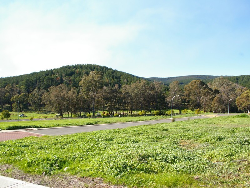 11 Hitchcock Drive, Nannup WA 6275