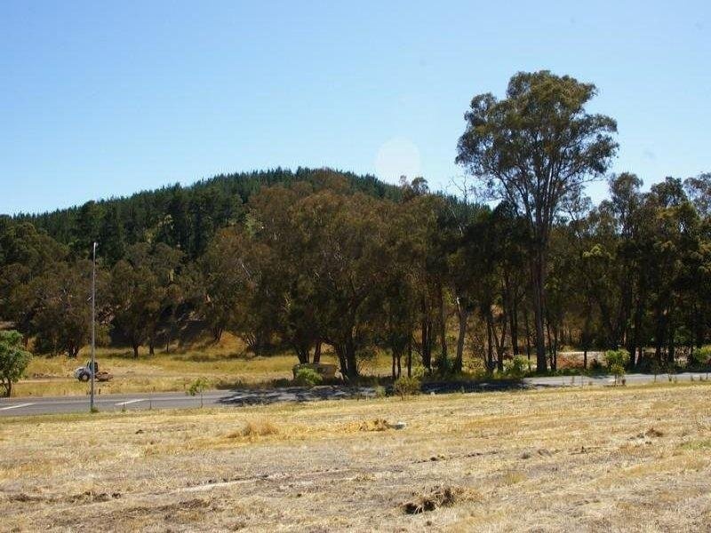 3 Hitchcock Drive, Nannup WA 6275