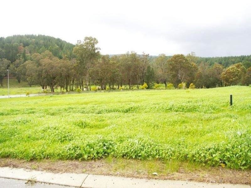 7 Hitchcock Drive, Nannup WA 6275