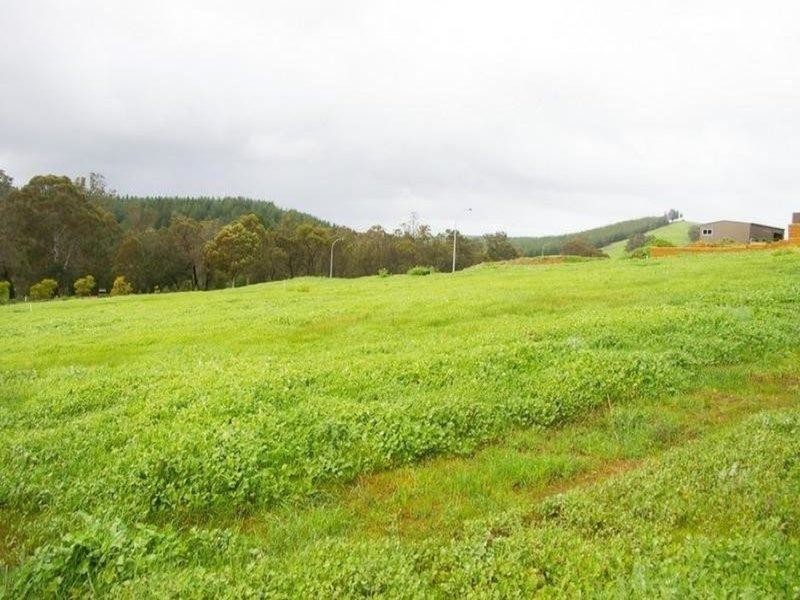 7 Hitchcock Drive, Nannup WA 6275