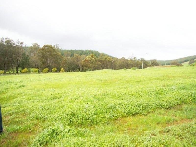 7 Hitchcock Drive, Nannup WA 6275