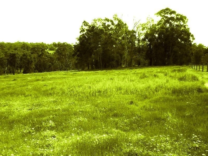 Lot 223 Ridgeview Avenue, Boyup Brook WA 6244