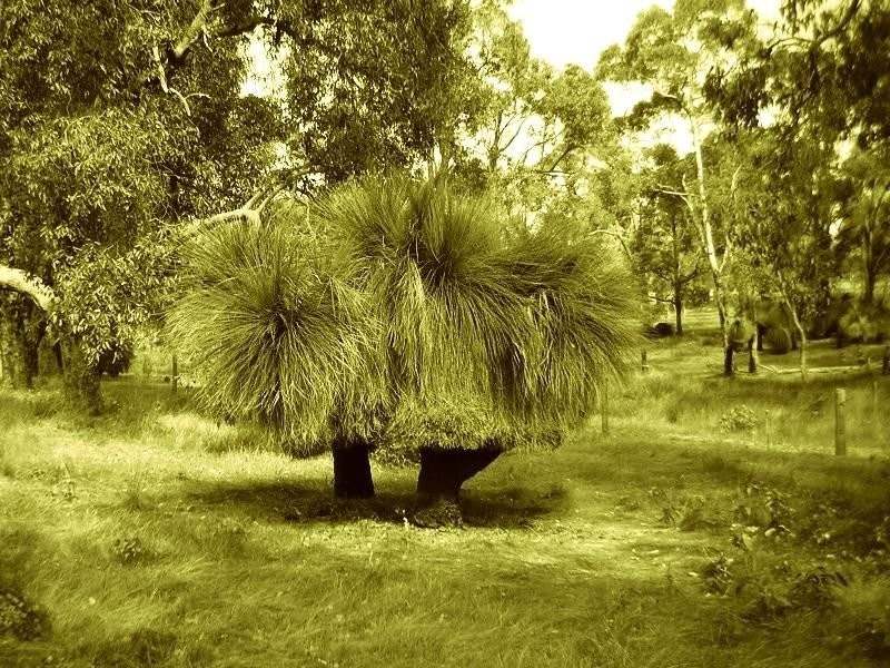 Lot 223 Ridgeview Avenue, Boyup Brook WA 6244