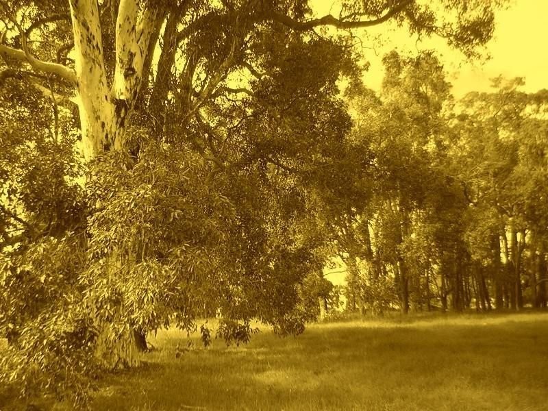 Lot 223 Ridgeview Avenue, Boyup Brook WA 6244