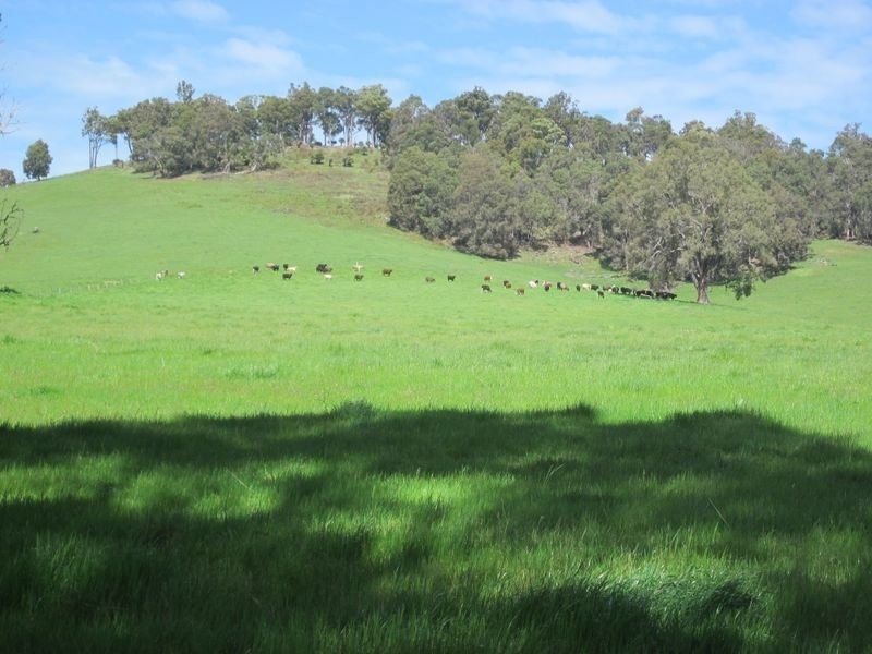 8102 Tweed Road, Bridgetown WA 6255