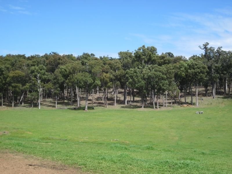 8102 Tweed Road, Bridgetown WA 6255