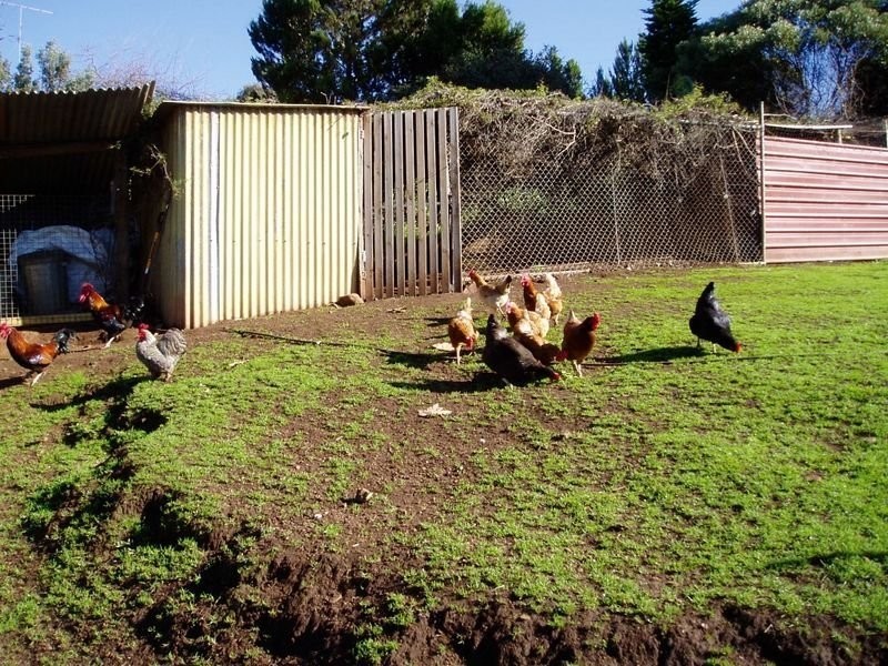 14 Chevis Court, Bridgetown WA 6255