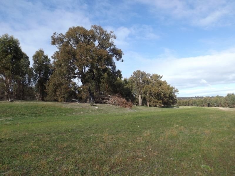 2043 Asplin Siding Road, Boyup Brook WA 6244