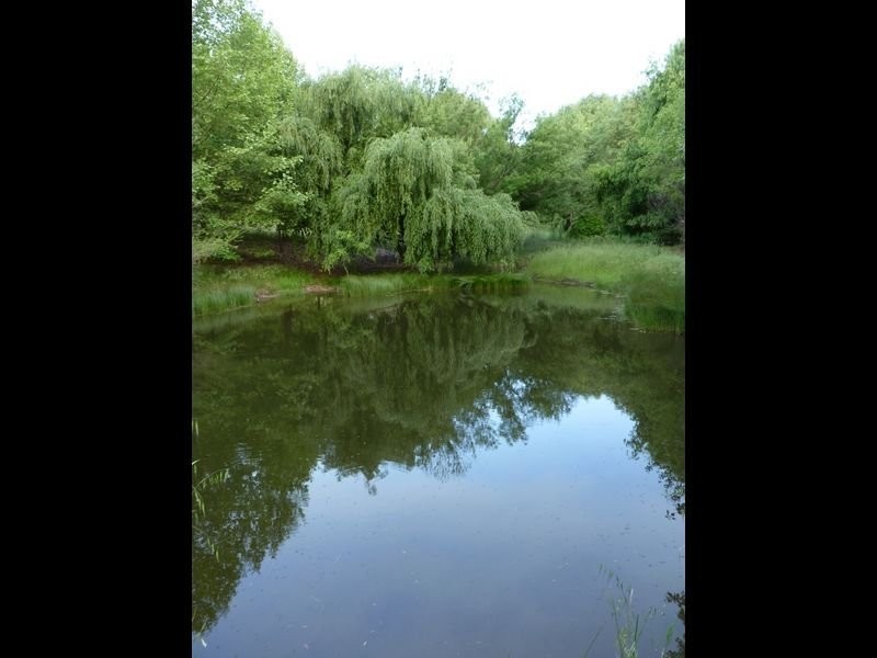 4 Blackwood Park Road, Bridgetown WA 6255