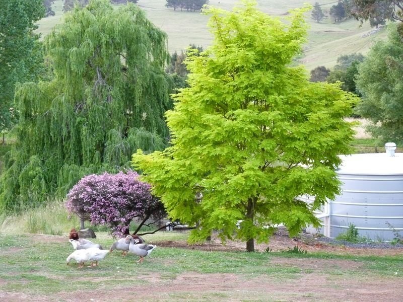 4 Blackwood Park Road, Bridgetown WA 6255