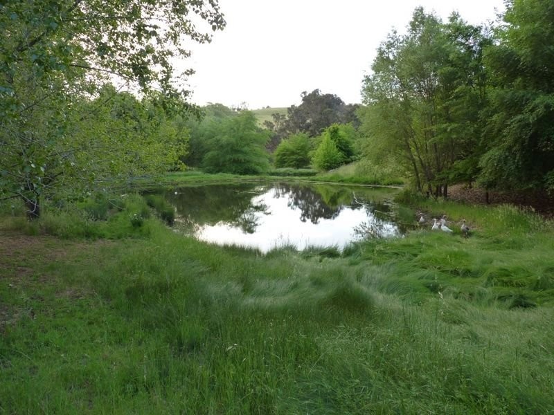 4 Blackwood Park Road, Bridgetown WA 6255