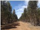 5861 Yerrilee Road, Bridgetown WA 6255