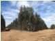 5861 Yerrilee Road, Bridgetown WA 6255