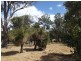 5861 Yerrilee Road, Bridgetown WA 6255