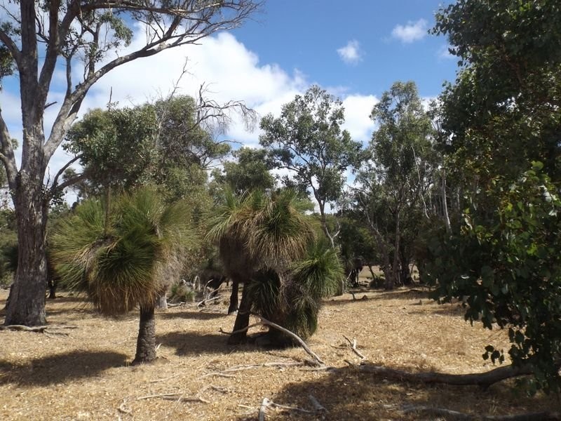 5861 Yerrilee Road, Bridgetown WA 6255