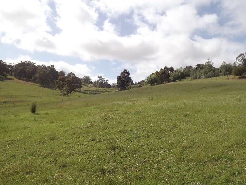 L 52 May Street, Bridgetown WA 6255