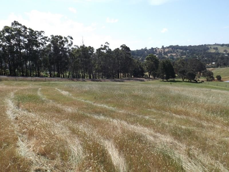 L 52 May Street, Bridgetown WA 6255