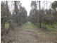 Lot 1 Muir Road, Mayanup WA 6244