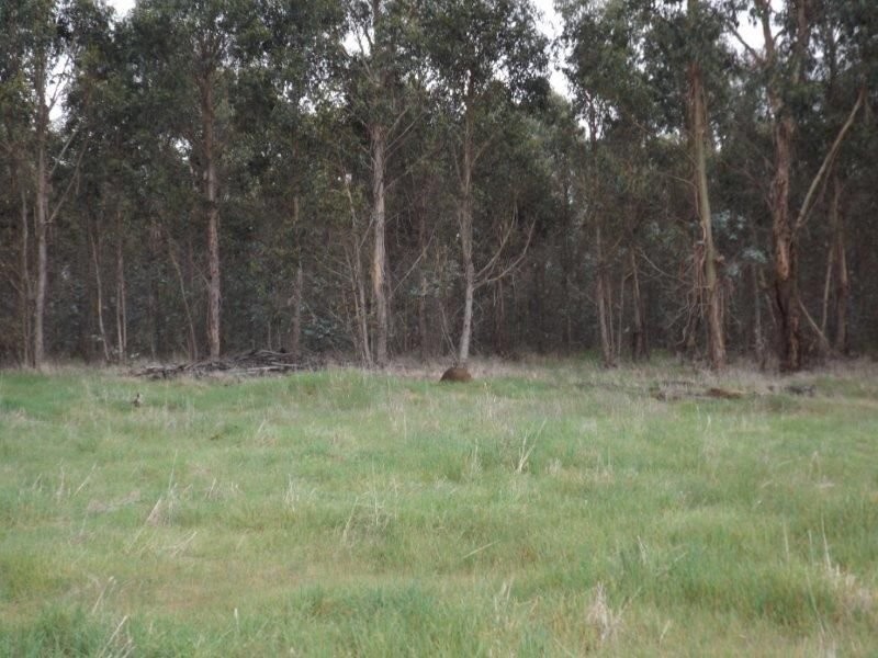 Lot 1 Muir Road, Mayanup WA 6244