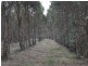 Lot 1 Muir Road, Mayanup WA 6244